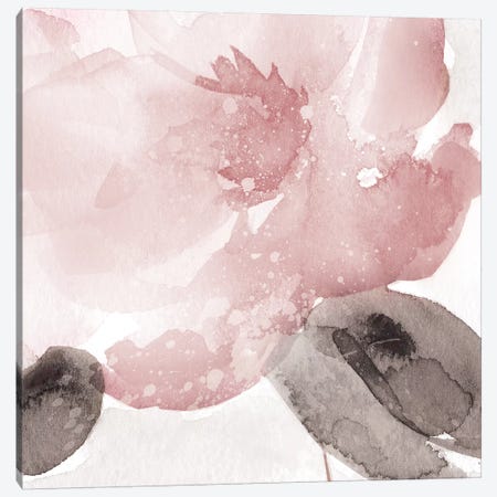 Blush Bloom I Canvas Print #CRO909} by Carol Robinson Canvas Wall Art
