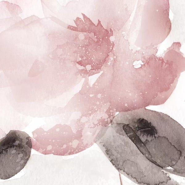 Watercolor Flowers: Blush Bloom I by Carol Robinson