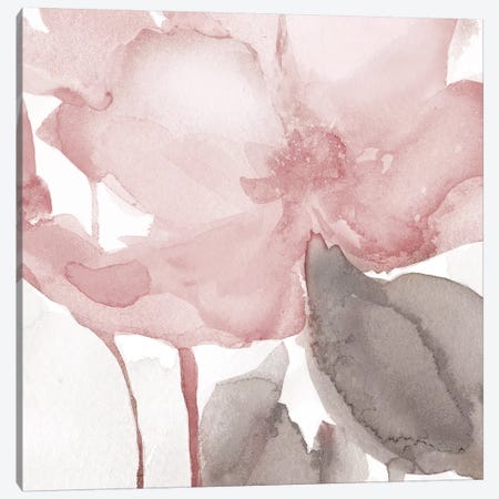 Blush Bloom II Canvas Print #CRO910} by Carol Robinson Canvas Art Print
