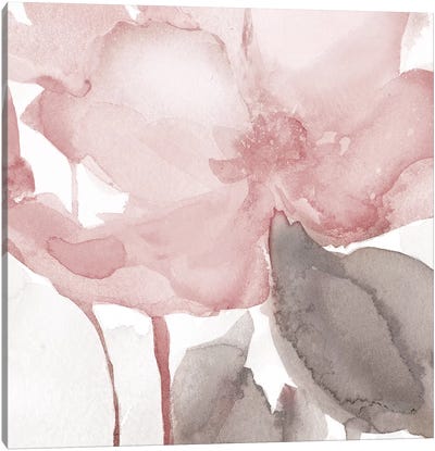 Blush Bloom II Canvas Art Print - Carol Robinson