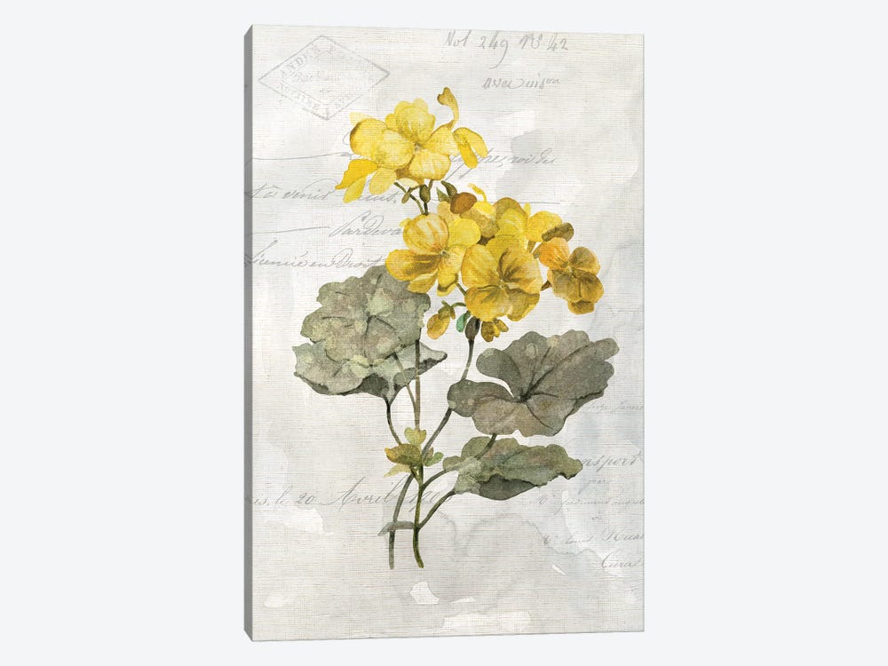 Canary Linen Geranium by Carol Robinson 1-piece Canvas Wall Art