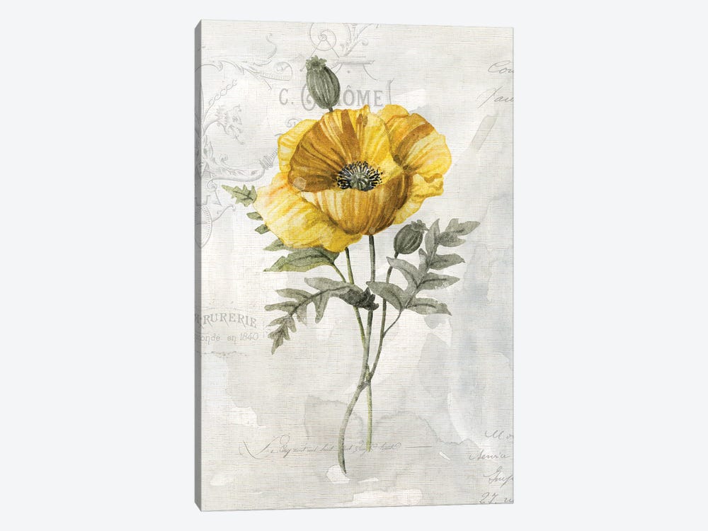 Canary Linen Poppy by Carol Robinson 1-piece Canvas Print