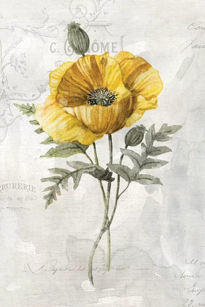 French Country Décor: Canary Linen Poppy by Carol Robinson