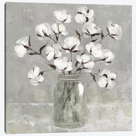 Cotton Bouquet Canvas Print #CRO924} by Carol Robinson Canvas Print