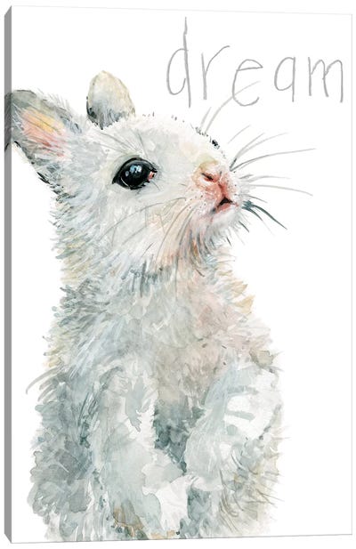 Forest Fur Baby Bunny Canvas Art Print - Inspirational Art
