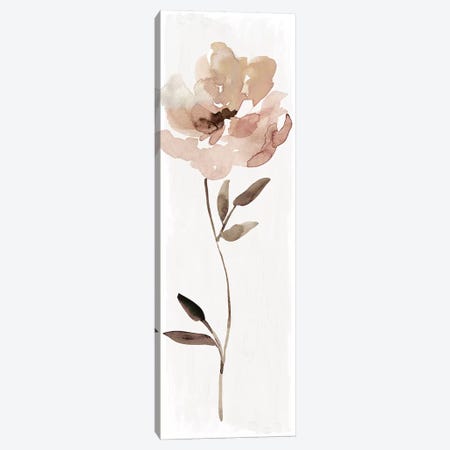 Neutral Bloom I Canvas Print #CRO946} by Carol Robinson Canvas Print