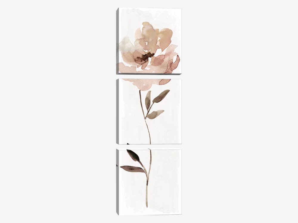 Neutral Bloom I by Carol Robinson 3-piece Canvas Print