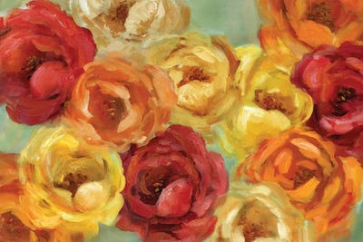 Peak of Summer by Carol Robinson canvas print