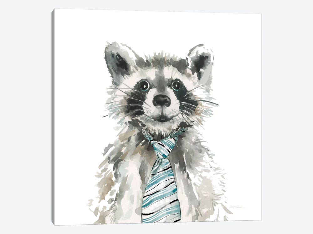 Raccoon by Carol Robinson 1-piece Canvas Art Print