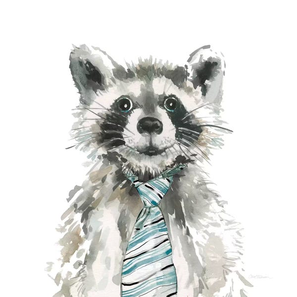 Raccoons: Raccoon by Carol Robinson