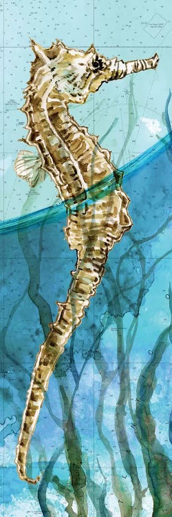 Atlantic Seahorse by Carol Robinson wall art