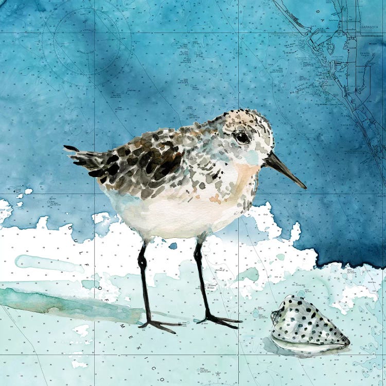 Bay Shore Sandpiper I