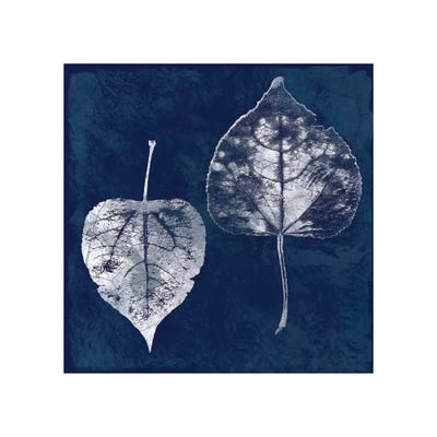 Cyanotype Aspen Leaves by Carol Robinson framed wall art