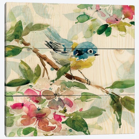 Birds and Blossoms I Canvas Print #CRO972} by Carol Robinson Canvas Print