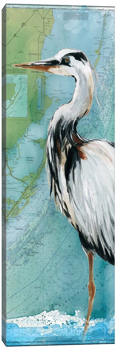 Biscayne Bay Crane Canvas Art Print - Crane Art