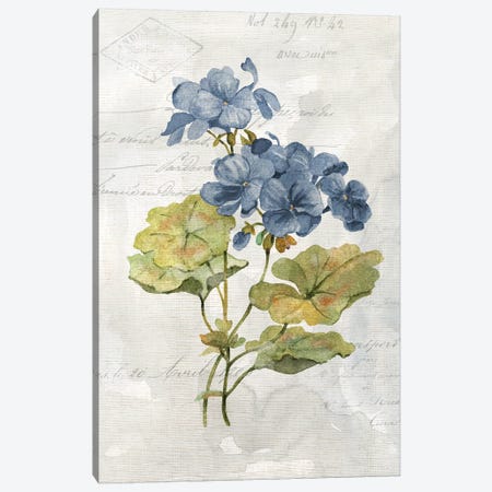 Blue Linen Geranium Canvas Print #CRO975} by Carol Robinson Canvas Wall Art