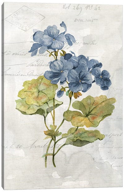 Blue Linen Geranium Canvas Art Print - Geranium Art