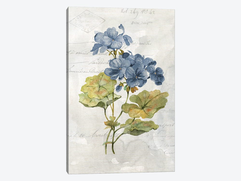 Blue Linen Geranium by Carol Robinson 1-piece Canvas Print