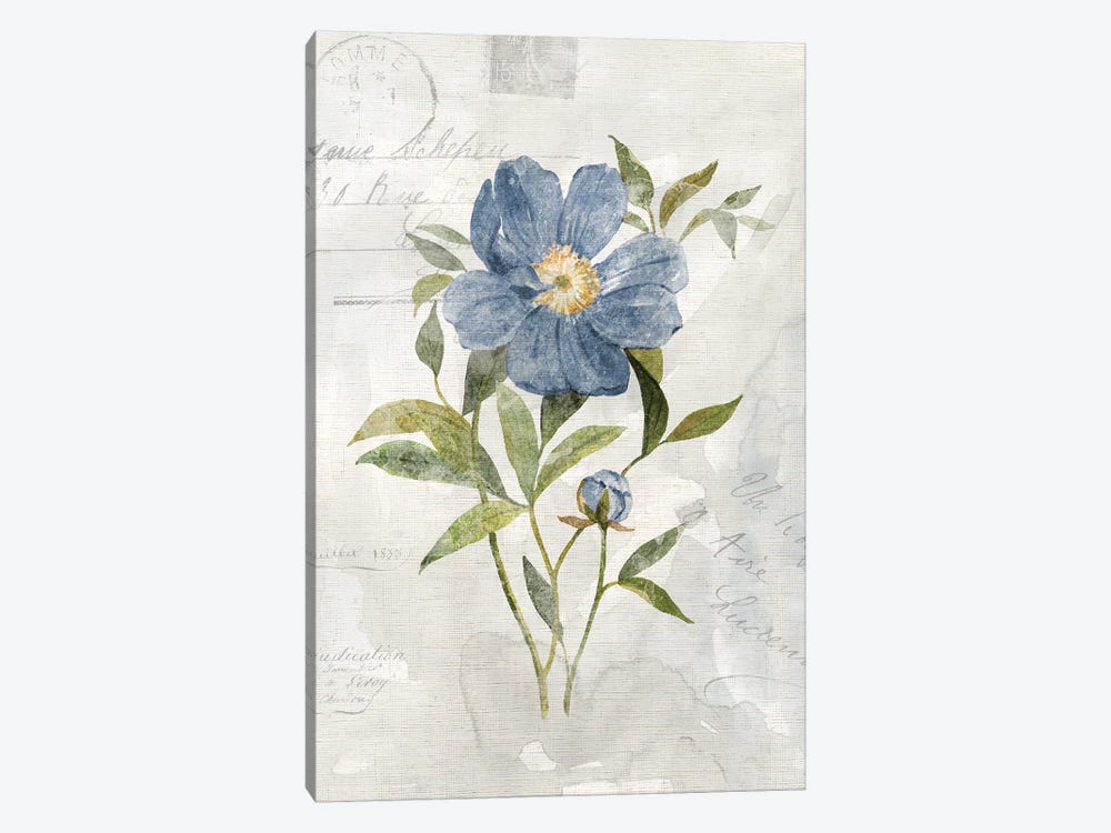 Blue Linen Peony by Carol Robinson 1-piece Canvas Artwork