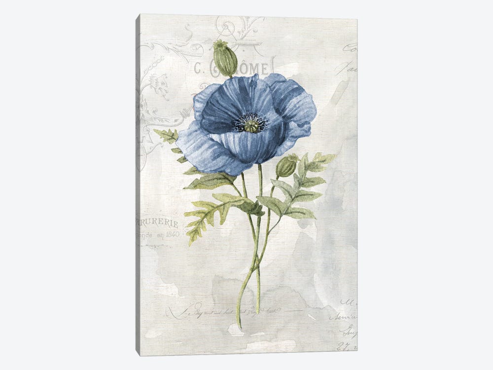 Blue Linen Poppy by Carol Robinson 1-piece Art Print
