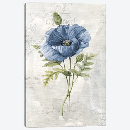 Blue Linen Poppy Canvas Print #CRO977} by Carol Robinson Canvas Artwork