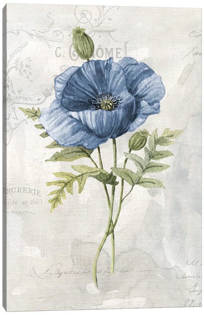 Blue Linen Poppy Canvas Art Print - Poppy Art