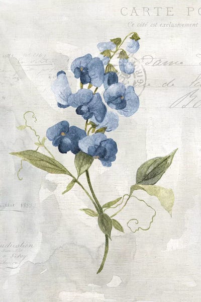 Modern Farmhouse Bedroom: Blue Linen Sweet Pea by Carol Robinson