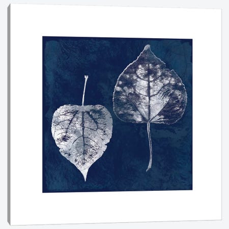 Cyanotype Aspen Leaves Canvas Print #CRO97} by Carol Robinson Canvas Artwork