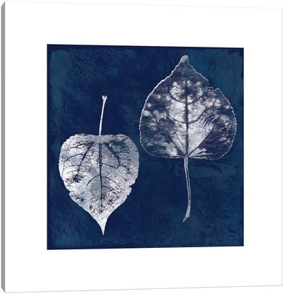 Cyanotype Aspen Leaves Canvas Art Print - Indigo & White 