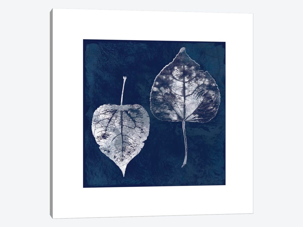 Cyanotype Aspen Leaves 1-piece Canvas Art Print