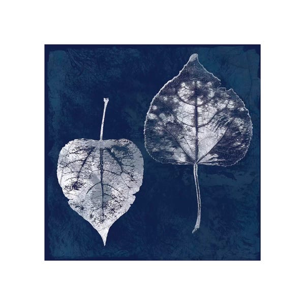 Leaves: Cyanotype Aspen Leaves by Carol Robinson