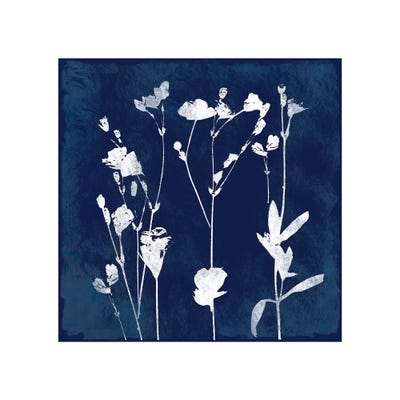 Cyanotype Botanical I by Carol Robinson canvas print