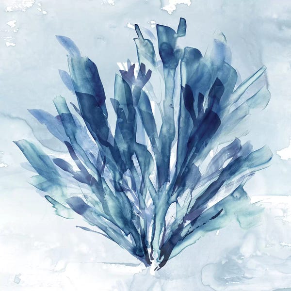 Sea Life: Coastal Coral I by Carol Robinson