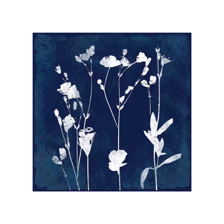 Cyanotype Botanical I