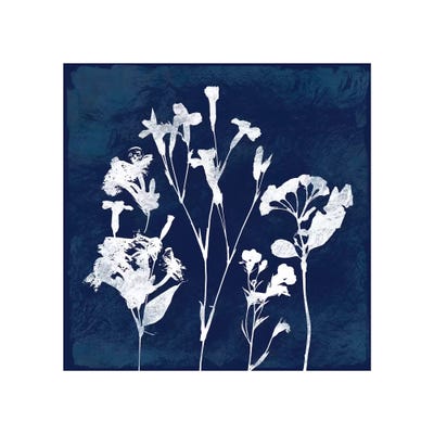 Cyanotype Botanical II by Carol Robinson acrylic art print