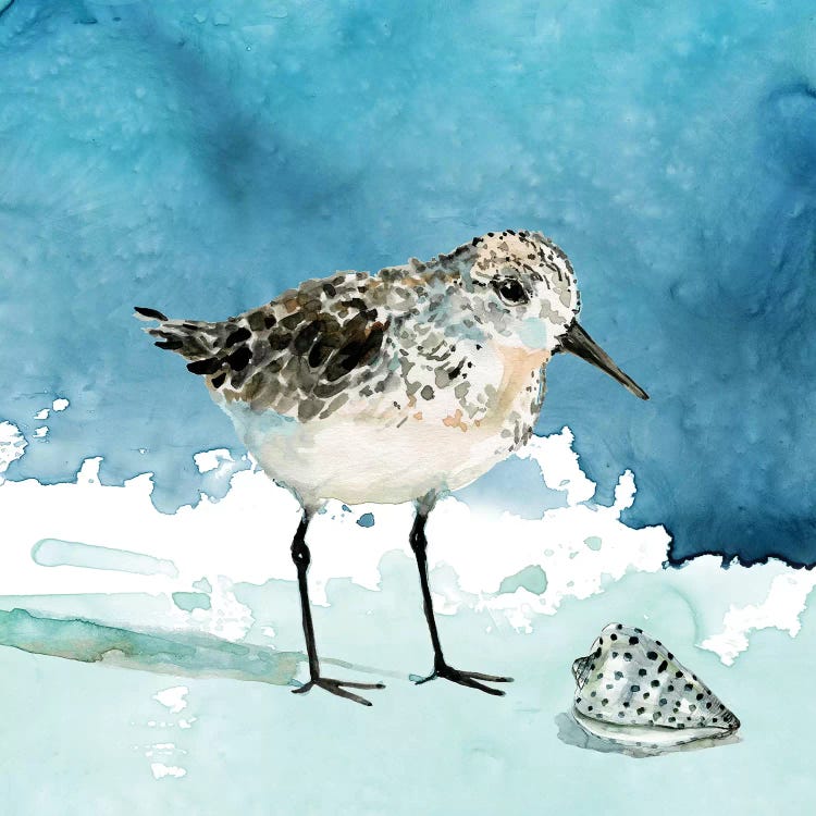 Delray Sandpiper I