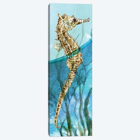 Delray Seahorse I Canvas Print #CRO995} by Carol Robinson Canvas Art