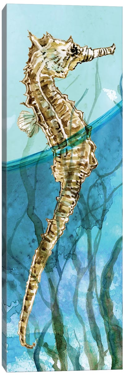 Delray Seahorse I Canvas Art Print - Seahorse Art