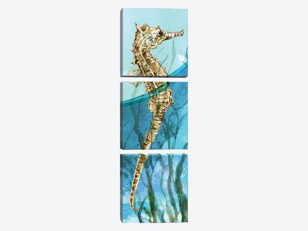 Delray Seahorse I by Carol Robinson 3-piece Art Print