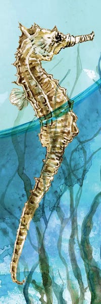 Seahorses: Delray Seahorse I by Carol Robinson