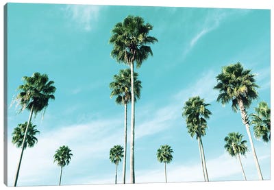 East Coast Palms Canvas Art Print - Natalie Carpentieri