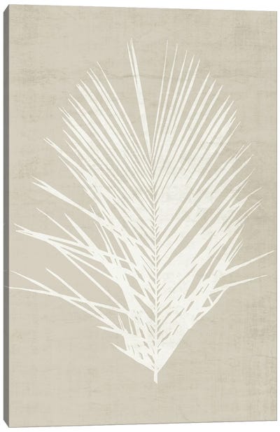 Palm Oasis II Canvas Art Print - Natalie Carpentieri