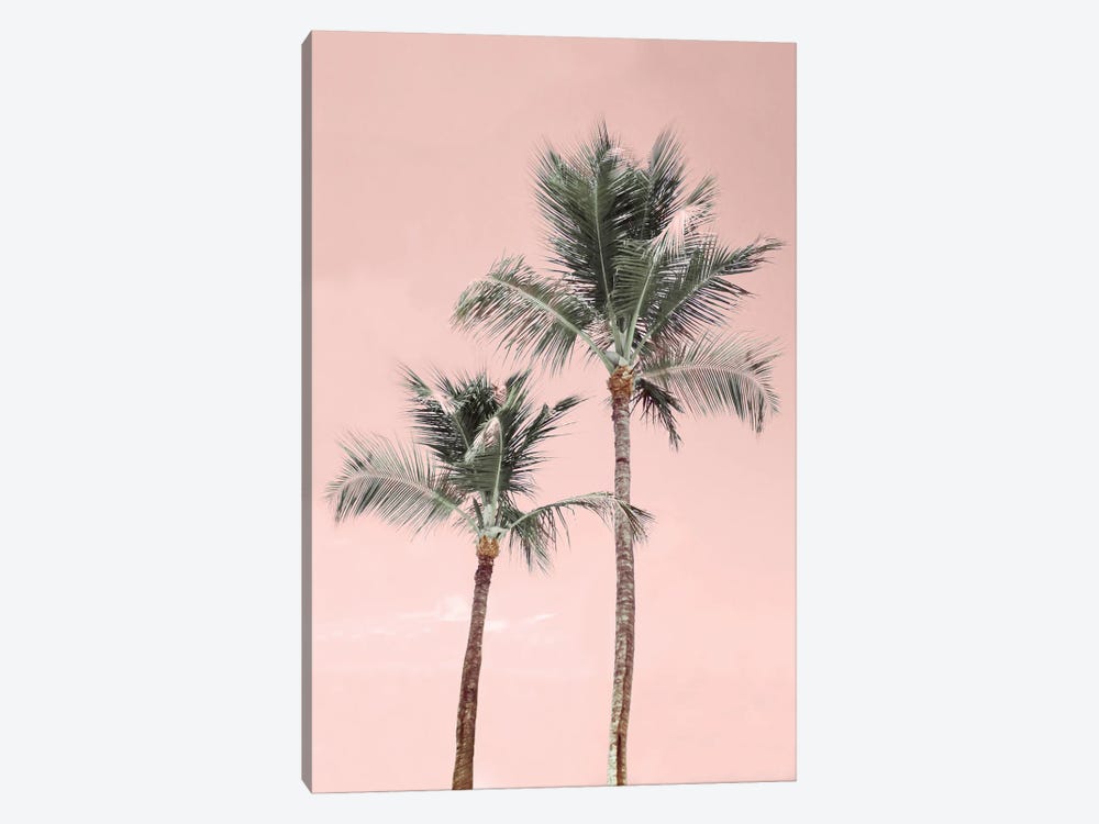 Aruba Pinks by Natalie Carpentieri 1-piece Canvas Art