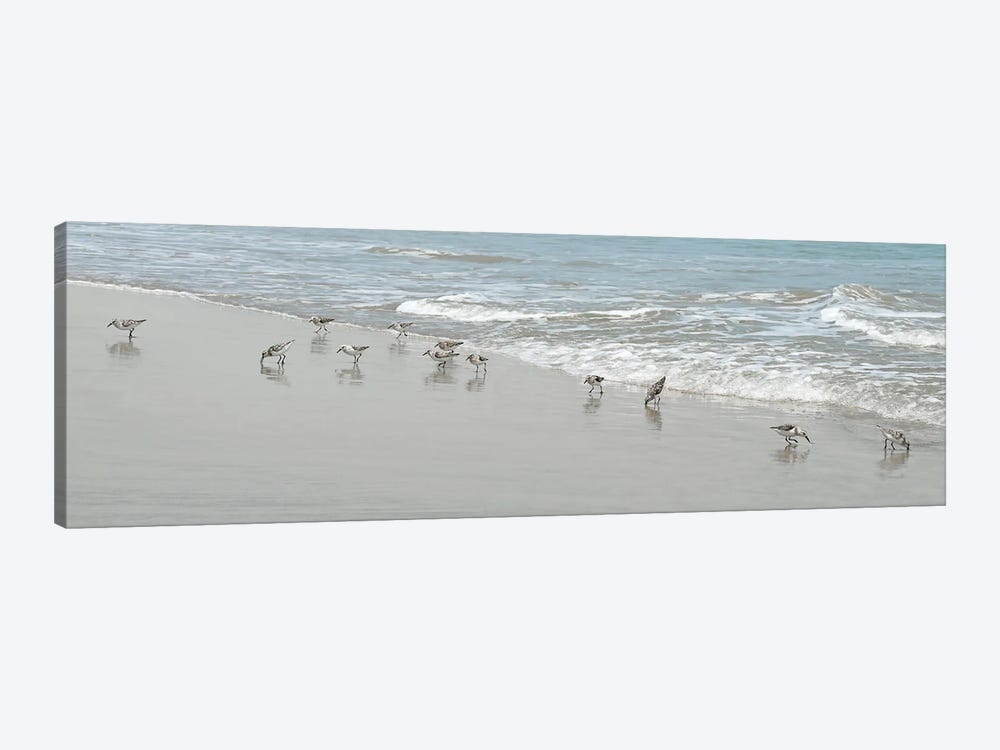 Shorebirds by Natalie Carpentieri 1-piece Canvas Print