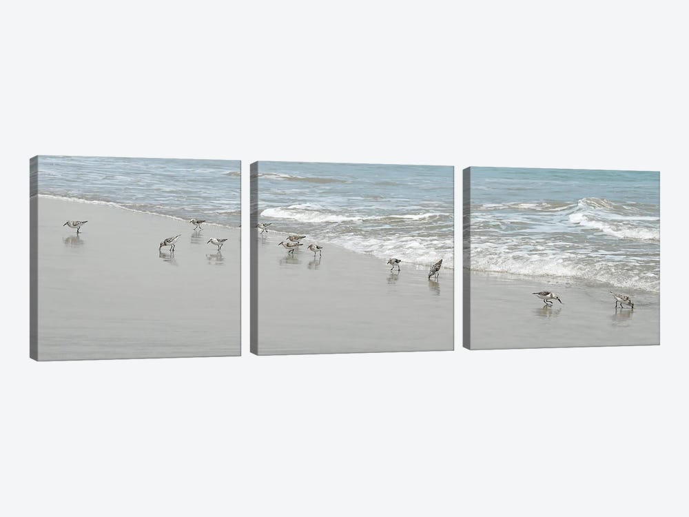 Shorebirds by Natalie Carpentieri 3-piece Art Print
