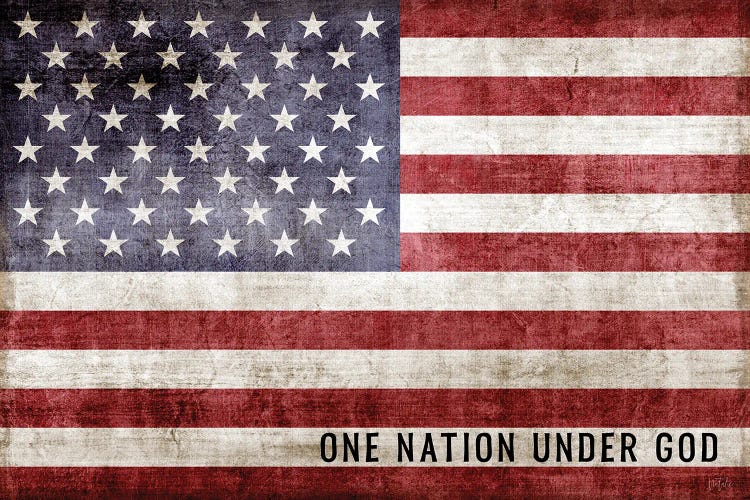 One Nature Under God Flag by Natalie Carpentieri wall art