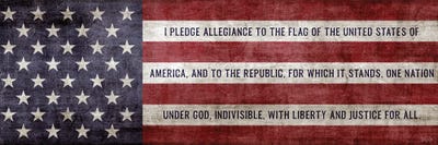 Pledge Flag by Natalie Carpentieri framed canvas print