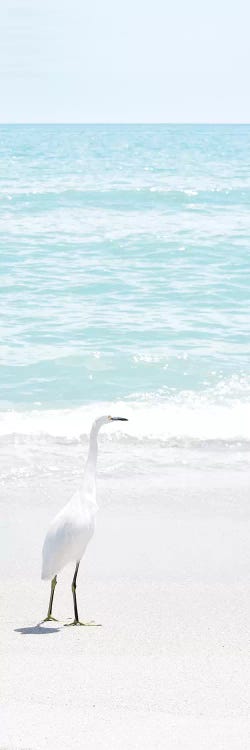 Summer Egret I by Natalie Carpentieri wall art