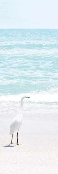 Egrets: Summer Egret I by Natalie Carpentieri
