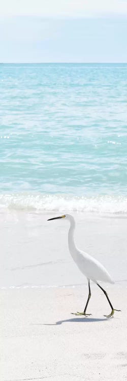 Summer Egret II